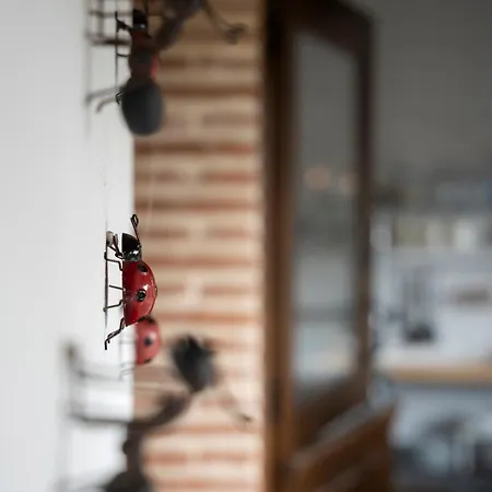 Casa Vacacional En Prázdninový dům *